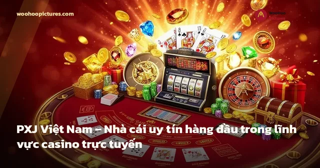 PXJ Việt Nam – Nhà cái uy tín hàng đầu trong lĩnh vực casino trực tuyến ảnh bìa