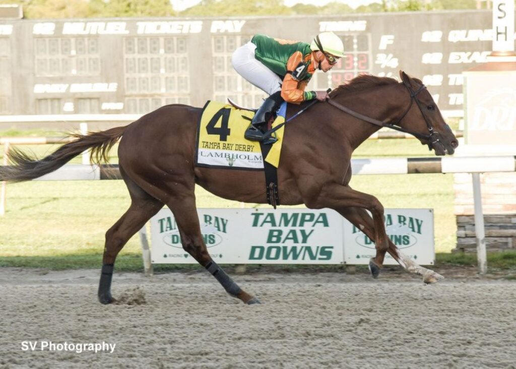 Classic Causeway Helps Tampa Bay Downs Pull Record Handle