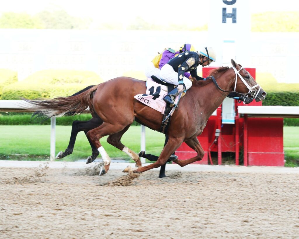 Don’t Sleep on This Budding Mare Rivalry in Oaklawn’s Azeri Stakes