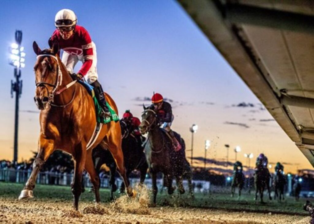 Louisiana Derby Sets Up as the Epicenter Kentucky Derby Prep