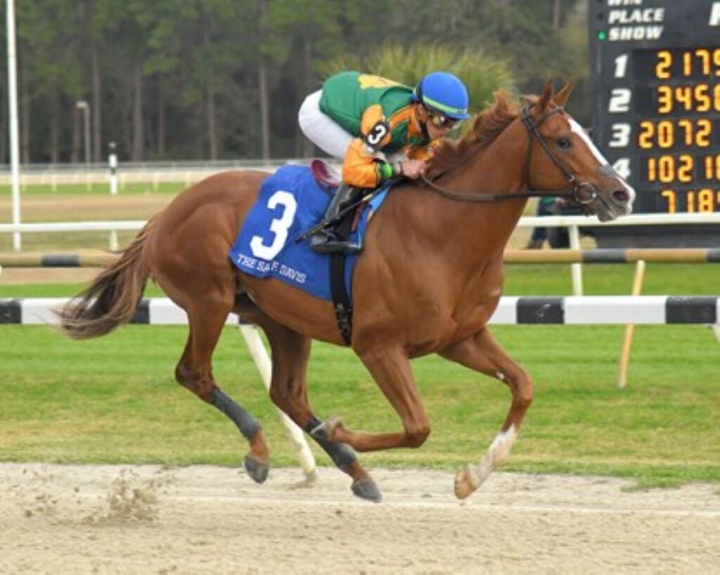 This Week on the Derby Trail Stops at the Tampa Bay Derby