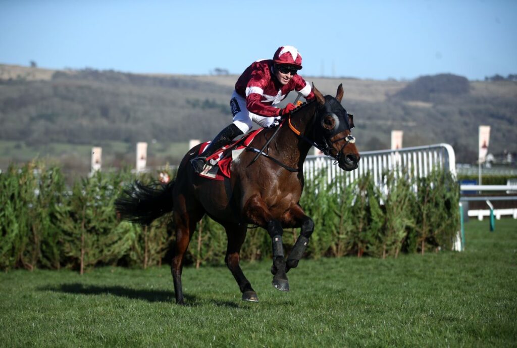 Tiger Roll Leaves Cheltenham Fans In Tears After Farewell Runner-Up
