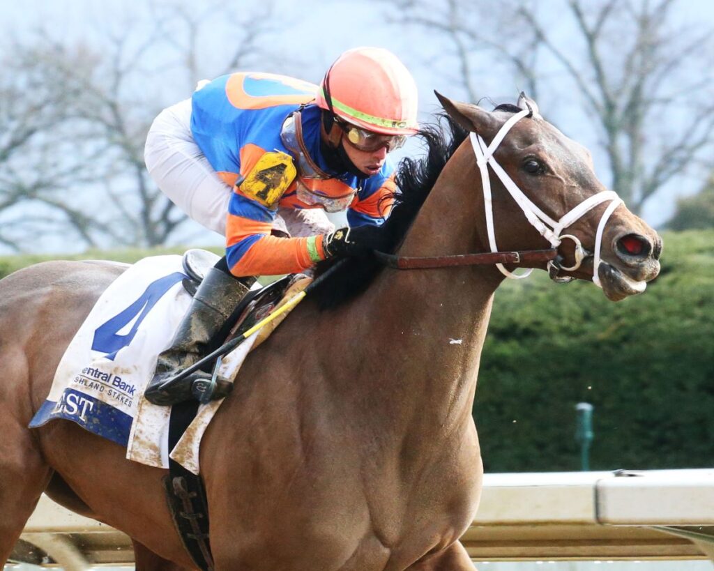 Colt Mo Donegal, Filly Nest Give Pletcher 1-2 Derby/Oaks Punch