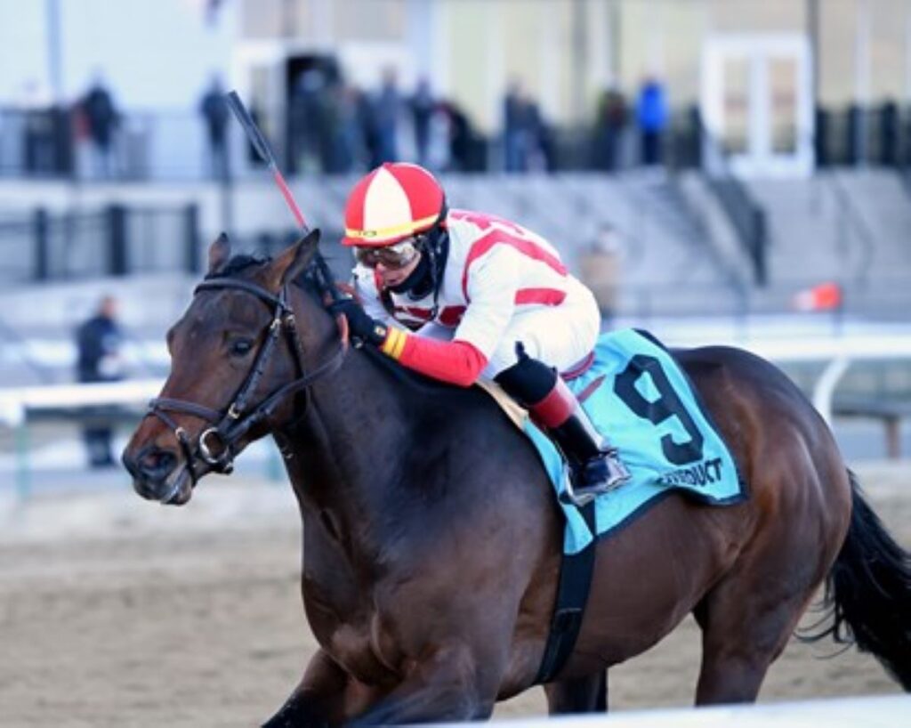 Early Voting May Give Up His Kentucky Derby Spot, Wait for Preakness
