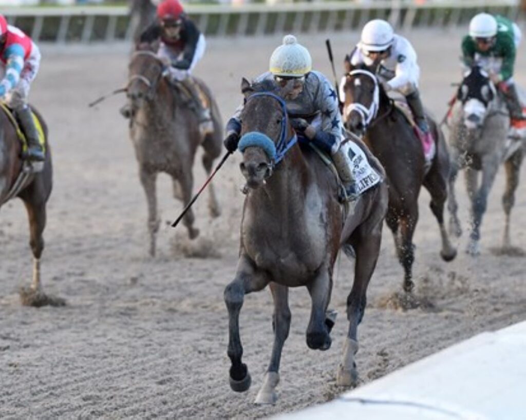 Florida Derby: The Springboard to Kentucky Derby Glory