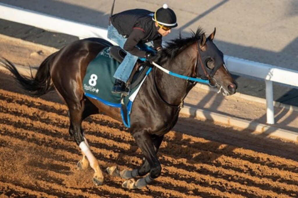 Gritty Stakes-Placer Midnight Bourbon Dies Suddenly in His Stall