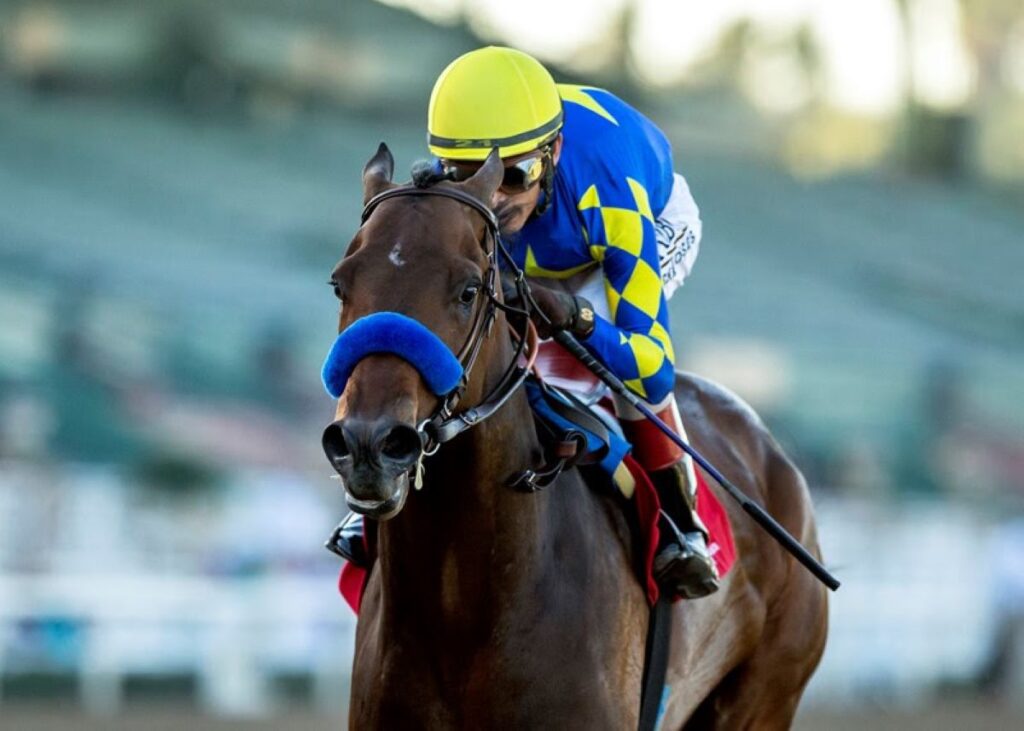 Santa Anita Derby Brings You Two of the Best Kentucky Derby Prospects