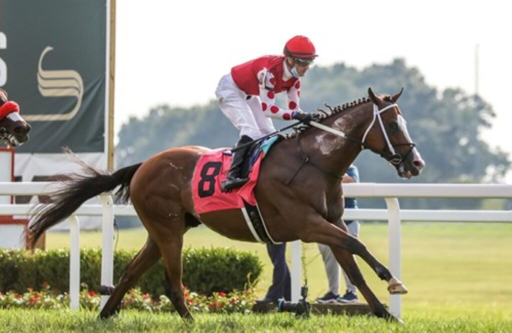 With One Stakes, this Cross Country Pick 5 Puts Handicappers to the Test