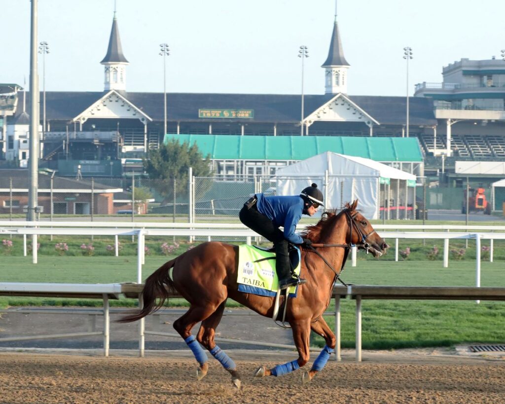 Racing Veteran White Sees Plenty of Gray in this Kentucky Derby