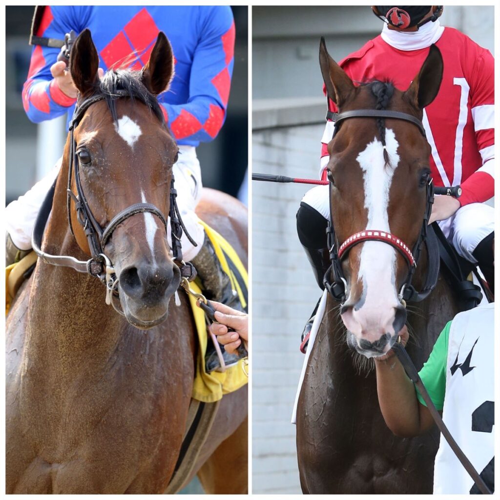 Bell’s the One, Sconsin Renew Rivalry in Relocated Chicago Stakes