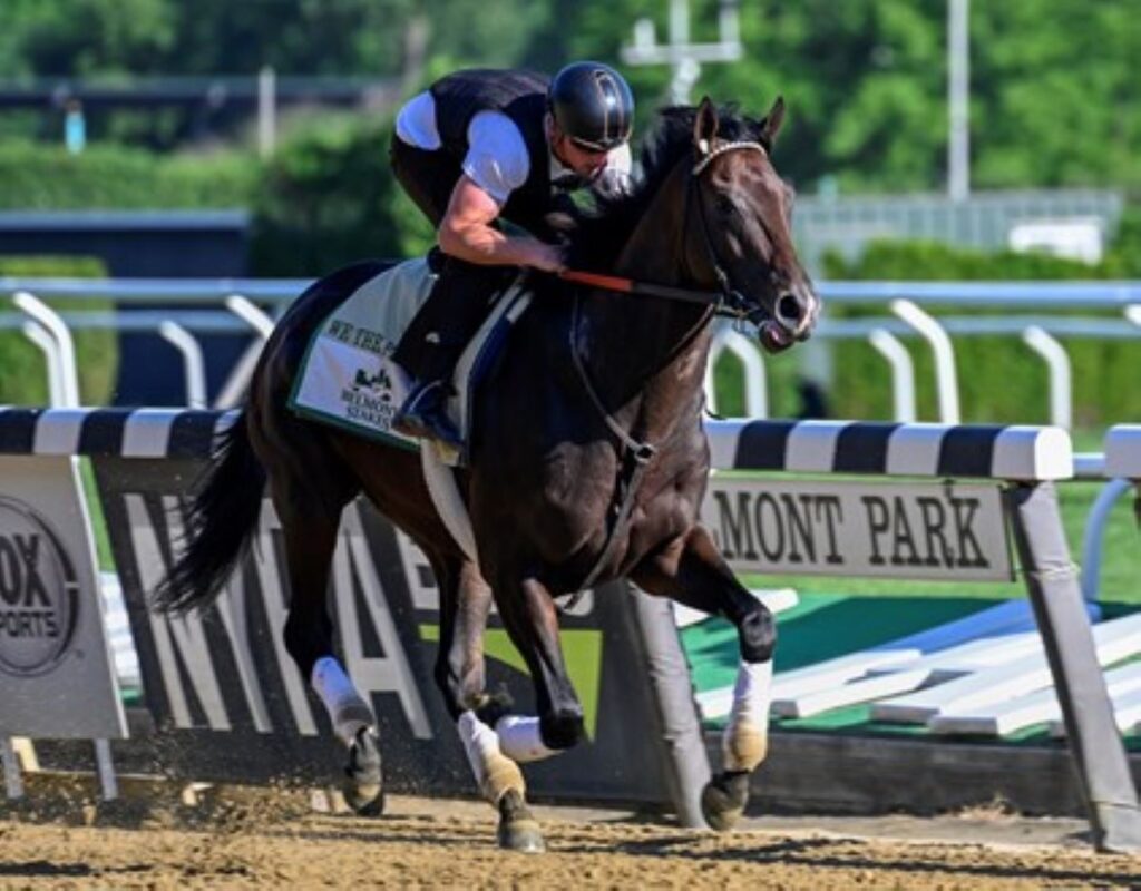 Breaking Down the 2022 Belmont Stakes: Taking Constitutional Law 101