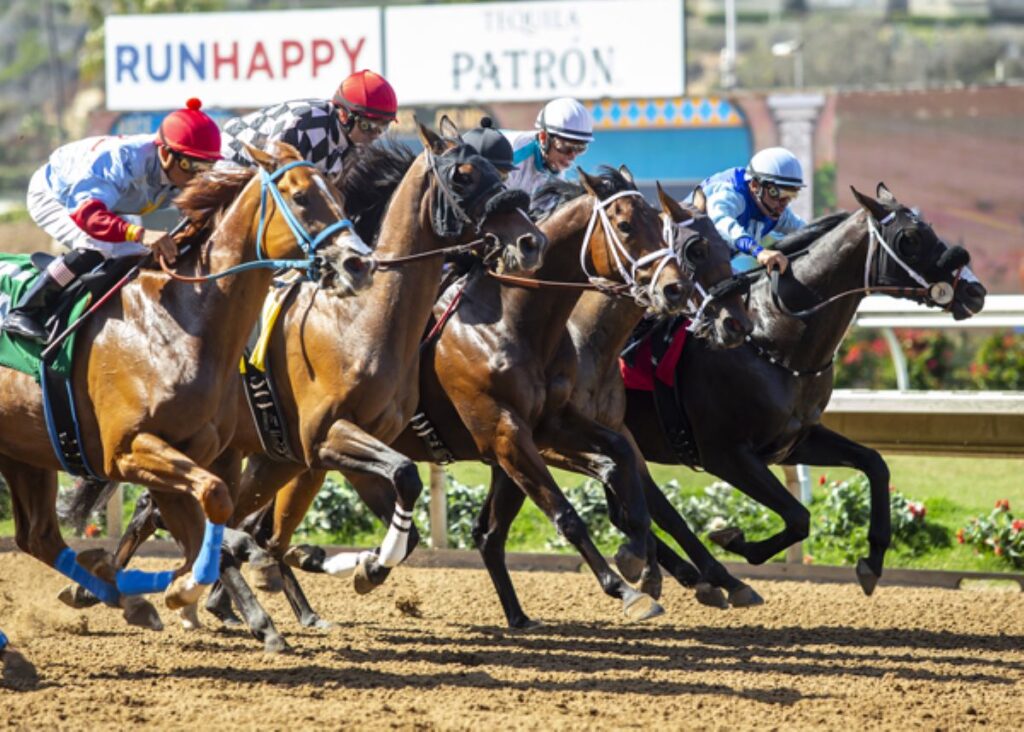 Del Mar Betting Menu Includes Extra Pick 6 Mandatory Payout Day