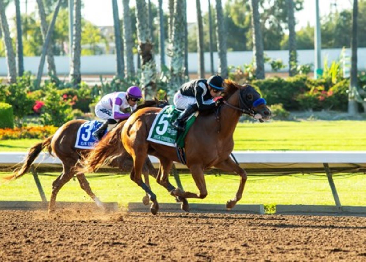 High Connection Brings Baffert Back With Another Los Alamitos Derby