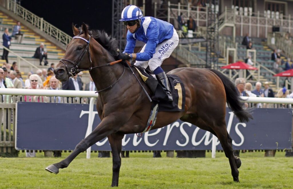 No. 1 Baaeed Goes for Nine in a Deep Sussex Stakes Field